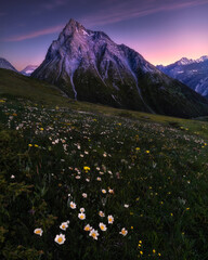 Fototapeta na wymiar Beautiful view of the Roche d'Etache mountain during the blue hour. In the foreground some anemones, Valloin de Savine, Val-Cenis, France