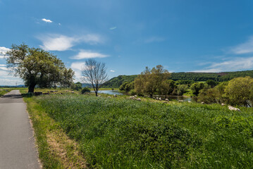 Der Radweg an der Schafswiese an der Weser