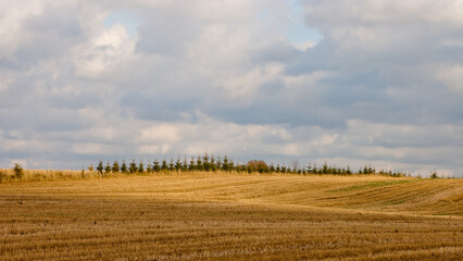 Obraz premium agricultural field in autumn, gray sky and clouds in the background