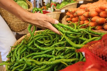 Freshly cropped green beans. Vegetarian meals. High quality photo