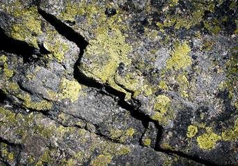 Obraz premium detail of granite block with yellow moss