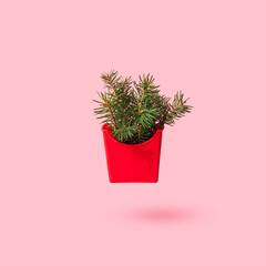 Christmas tree in food bag on pastel light pink background. Minimalistic New Year concept. Christmas flat lay. Creative Xmas composition.