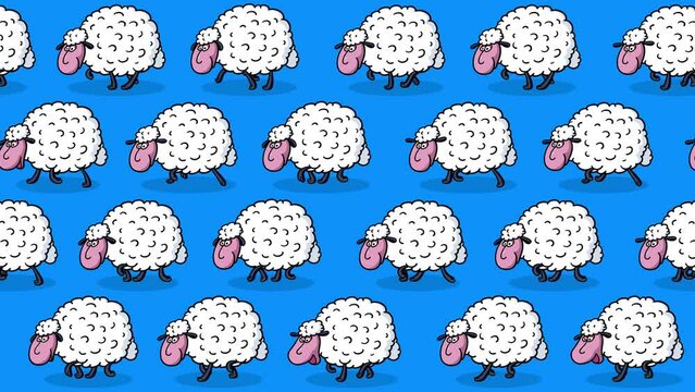 Sheep cartoon white characters wallpaper walking on blue background. Cute children animation good as backdrop for intro, party, television programme, presentation, etc... Seamless loop.