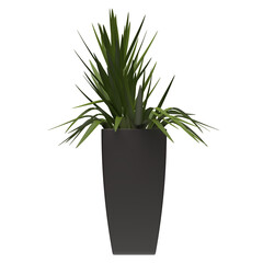 Generic Plant Tree PNG rendered in 4K Resolution for compositing and Background. With transparency alpha channel.  8K based in 3d model.