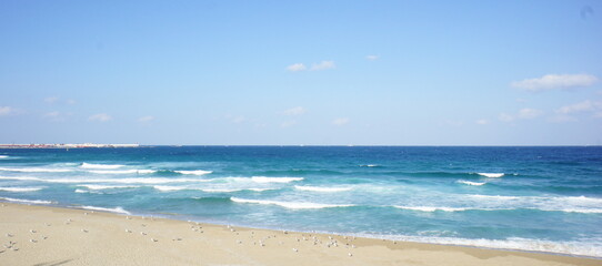Fototapeta na wymiar SONY DSC, beach
