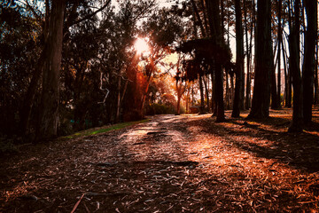 Oto&ntilde;o en el Canelo