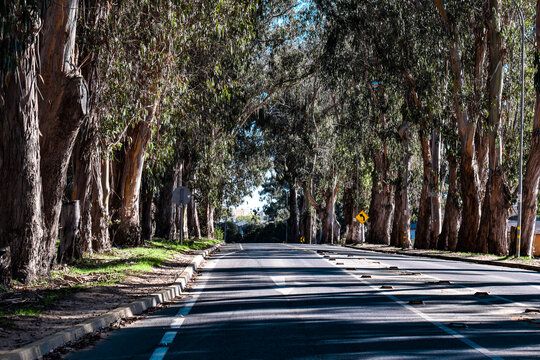 Calle el Quisco