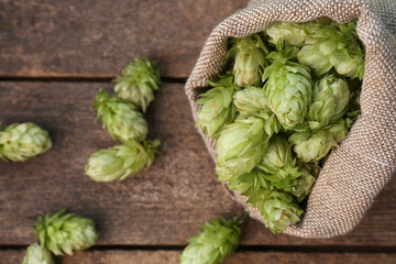 Sack and fresh green hops on wooden table, flat lay