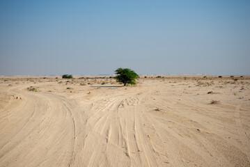 Richard Serra Desert - Qatar