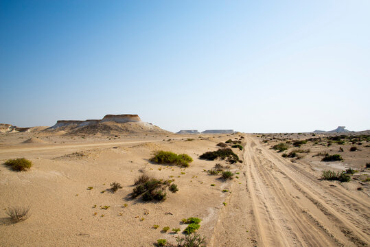 Richard Serra Desert - Qatar