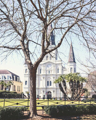 cathedral 