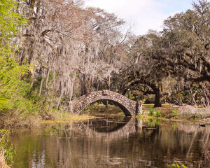 bridge over the river