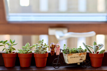 窓辺の景色　小さな木枠の窓に飾られた観葉植物　窓のある生活　癒やしの空間