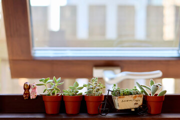 窓辺の景色　小さな木枠の窓に飾られた観葉植物　窓のある生活　癒やしの空間