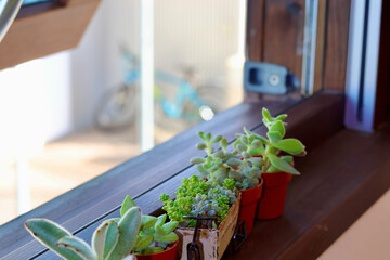 窓辺の景色　二階の窓に飾られた観葉植物　窓のある生活　癒やしの空間