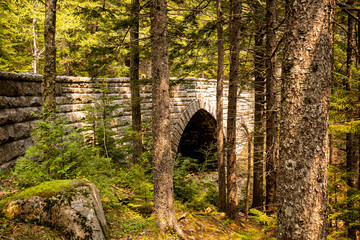 stone bridge in woods