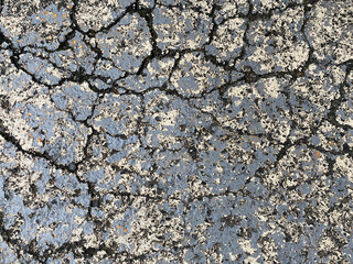 ひび割れたアスファルト