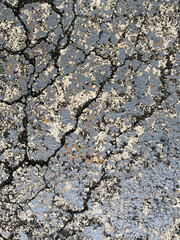 ひび割れたアスファルト