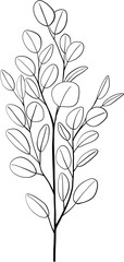 simplicity eucalyptus leaf freehand drawing.