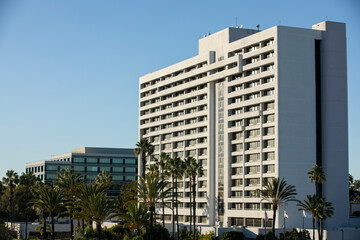 Fototapeta na wymiar Palm framed view of the downtown skyline of Torrance, California, USA.