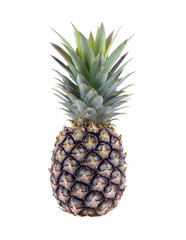pineapple with slices isolated on transparent png