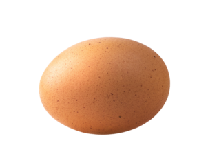 egg isolated on transparent png