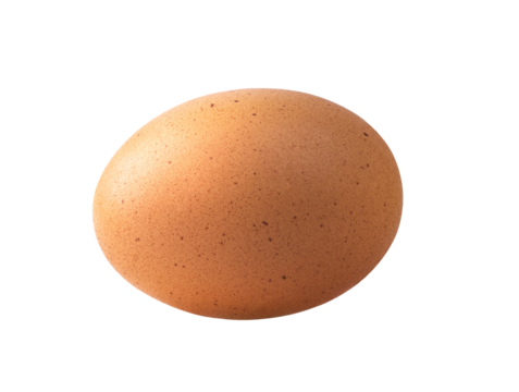egg isolated on transparent png