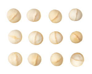 macadamia nut isolated on transparent png