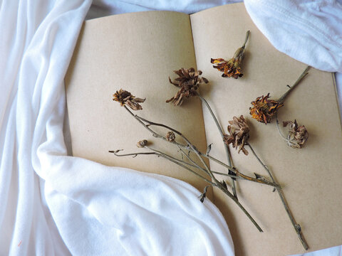 The open book with dried flower on white silk fabric. 