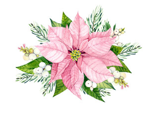 Pink poinsettia. Watercolor illustration. Christmas composition of poinsettia, snowberry and pine branches. For packaging design, postcards, stickers, fabric, etc.