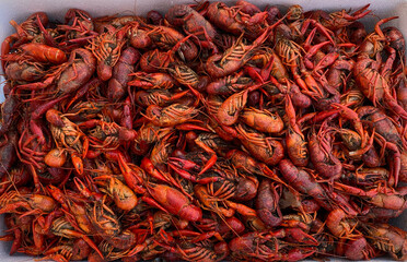 boiled crawfish, crawfish boil from Lousiana, creole crawfish boil