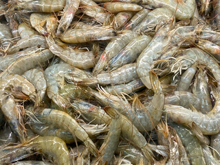 Raw and gray fresh shrimp at the supermarket with shell and tail