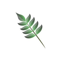 Tropical leaf design, with white background