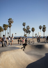 Famous skate park © Candice