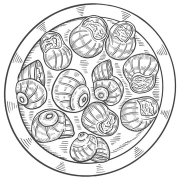 escargots france food cuisine isolated doodle hand drawn sketch with outline style