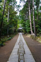 [Japan] The approach of Jufukuji Temple (Kamakura city, Kanagawa)