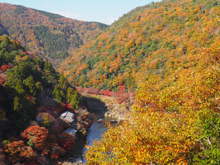 秋の京都　嵐山　亀山公園の展望台より