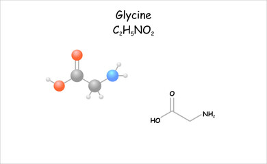 Stylized 2d molecule model/structural formula of glycine. Use as flavour enchancer.