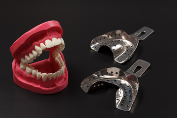 Layout of the human jaw and stainless steel dental impression trays.