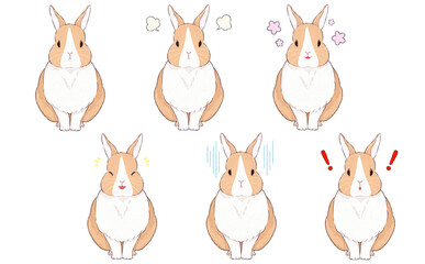 茶色ダッチうさぎの表情イラストセット