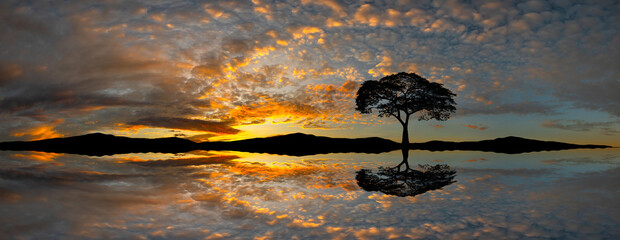 Panorama silhouette tree and Mountain in africa with sunset.Tree silhouetted against a setting sun...