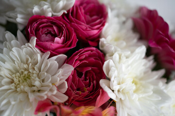Close-up of a bouquet of flowers. Rose and chamomile background. Flowers background. Holiday gift.