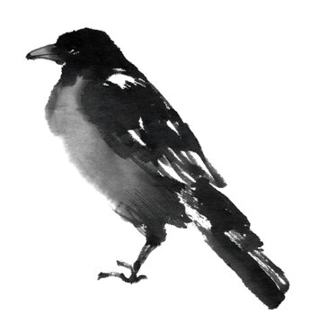 水墨画技法で描いた横向き鴉