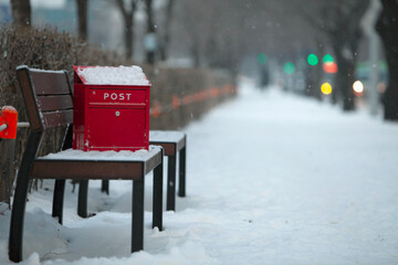 Snow mailbox