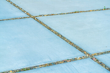 Cement with small dirt holes with flowering grass and weeds for driveway or in an urban hidden garden