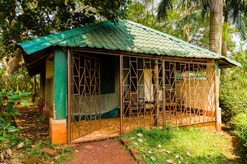 old wooden house in forest
