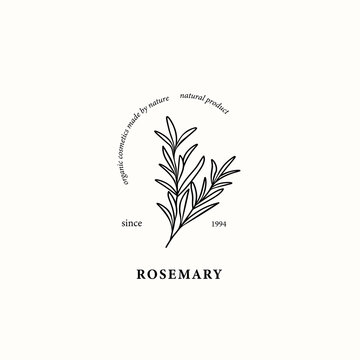Line art rosemary branch illustration