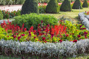 Bright colorful flowers on the flowerbed in the ornamental garden in summer sunny day outdoors.