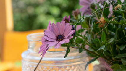 macro of a purple flower