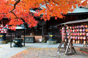 少林山達磨寺の霊符堂と紅葉